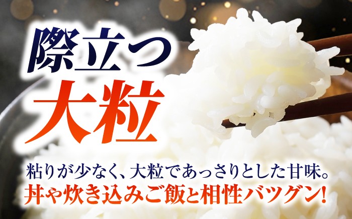 米 こめ コメ 白米 はくまい ご飯 ごはん