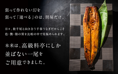 厳選 幻の青うなぎ 5尾 丑の日 うなぎ