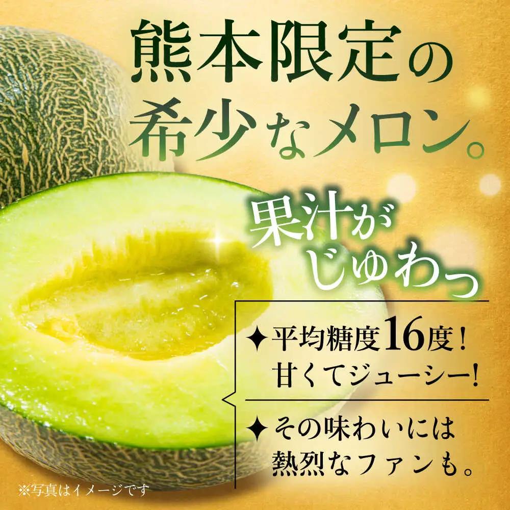 【先行予約】肥後グリーンメロン 約4kg(2玉入) メロン グリーンメロン フルーツ 熊本県産 【日本フルーツ株式会社】 [ZFJ004]
