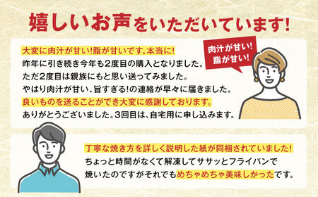 【全6回定期便】肥後の赤牛 ハンバーグ 150g×10個  熊本 赤牛 褐牛 あかうし 褐毛和種 肥後 冷凍 国産 牛肉 熊本ハンバーグ 赤牛ハンバーグ 褐牛ハンバーグ あかうしハンバーグ 褐毛和種ハ