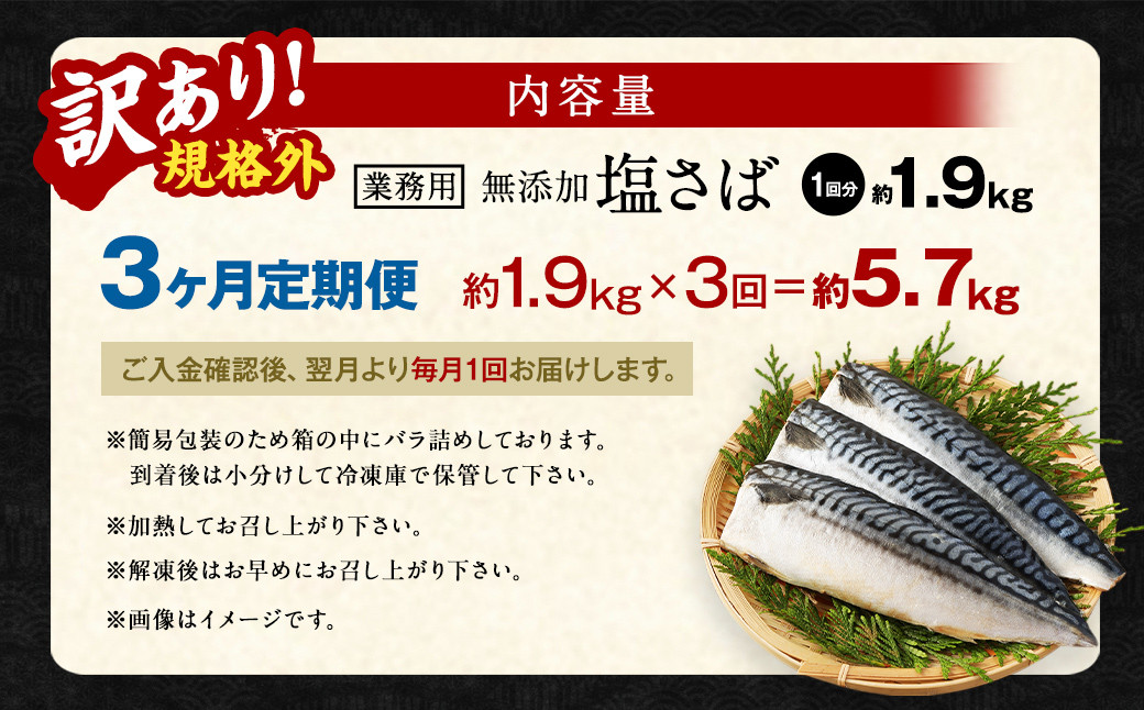 【3ヶ月定期便】【訳あり規格外】 業務用 無添加塩さば 1.9kg