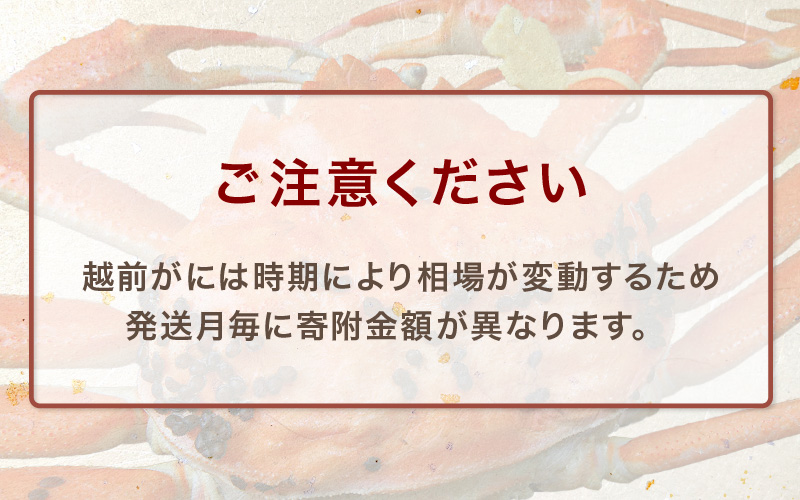 ≪茹で≫越前がに小（タグ付き）1杯（生で750～800g）カニ酢90cc付 板前特製手仕込み 食べ方しおり付き【3月発送分】 [e29-x001【】03]