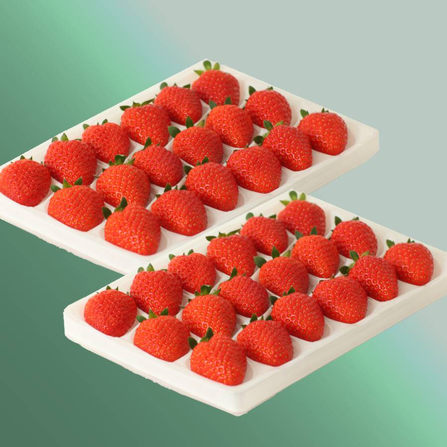 ＜紀のファーム＞旬の果物【4回定期便】