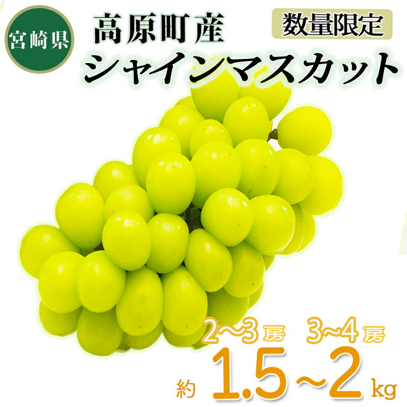 【ふるさと納税】宮崎県産 久保ぶどう園のシャインマスカット 約1.5kg(2~3房) 約2kg(3〜4房) 霧島の水と太陽が育てた新鮮フルーツ 大粒で果汁たっぷり 種なし ブドウ ランキング 人気 果物 果実 送料無料 贈答 ギフト 大人気 故郷納税 11000円 15000円 1万円〜2万円