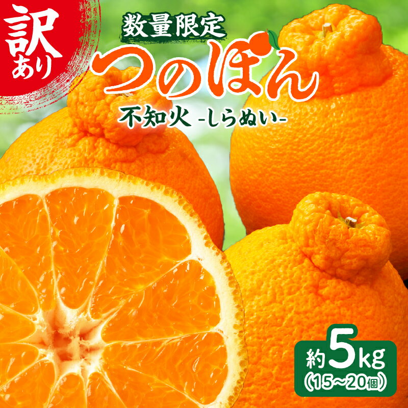 【ふるさと納税】先行予約 ≪ 数量限定 ≫ 訳あり 不知火 (つのぽん) 約5kg フルーツ 果物 くだもの みかん しらぬい 柑橘 2026 国産 期間限定 おすすめ 宮崎 産地直送 フルーツサンド フルーツジュース 傷 バラツキ 不揃い おすそ分け 手土産 おうち時間 都農町 送料無料