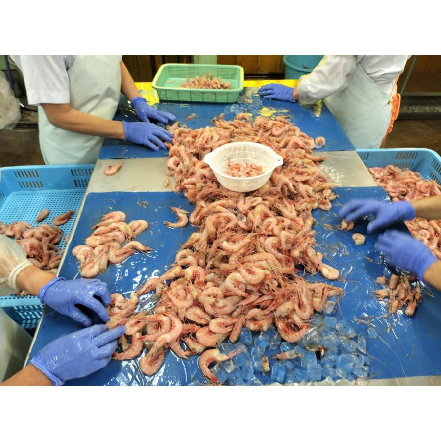 ＜星野水産＞国産天然・無添加「むき海老」（ひげ長海老）200g×5（計1kg）【12ヵ月定期便】・H091