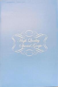 【先行予約】内子町産 シャインマスカット 青秀以上 3～5房 約2kg ★2024年8月下旬から発送★【シャインマスカット 大人気 愛媛県 シャインマスカット 美味しいシャインマスカット 人気 シャイ