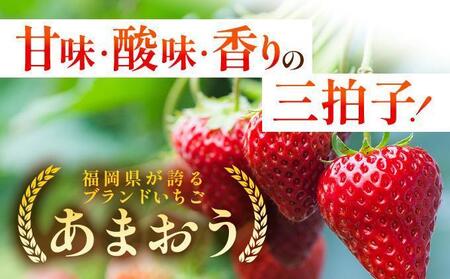 【3月発送】福岡県産あまおう約250g×4パック
