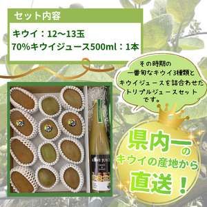 【先行予約】キウイ3種アソート 約1.4kg＆キウイジュース500mlセット 阿武町産【2026年11月～2027年2月発送】