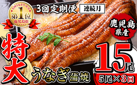 【3回定期便(連続月)】鹿児島県産 うなぎ蒲焼 特大 サイズ 5尾セット ＜（約220g×5・計約1100g）×全3回＞  【薩摩川内鰻】 i1176-A