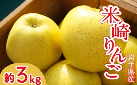 先行予約 【清水農園】フレッシュ りんご 「シナノゴールド」3kg 【 リンゴ 林檎 果物 フルーツ 期間限定 】2025年10月頃から順次発送 RT1747