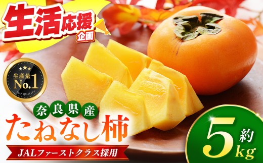 大人気 ！ JAL ファーストクラス 採用  たねなし 柿 約 5kg 箱 （ 18～24個入 ）  |  リピーター 多数 フルーツ 果物 くだもの かき カキ たねなし 種無し 種なし 奈良県 五條市 西岡農園 大容量 たっぷり 種なし 甘い 10月 11月 秋 旬 食物繊維 豊富 美容 健康 農家直送 産地直送 お取り寄せ グルメ 送料無料 低農薬 自宅用