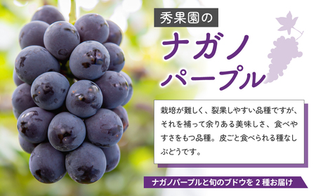 先行予約2024年発送【秀果園】ナガノパープルと旬のぶどう　３種セット（約2kg）※秋お届け |長野県 長野 東御市 人気 信州 ナガノパープル 秀果園 ぶどう フルーツ 果物 おすすめ 厳選 種無し