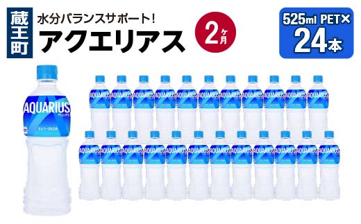 【2か月連続お届け】アクエリアス　500ml PET×24本　【04301-0705】