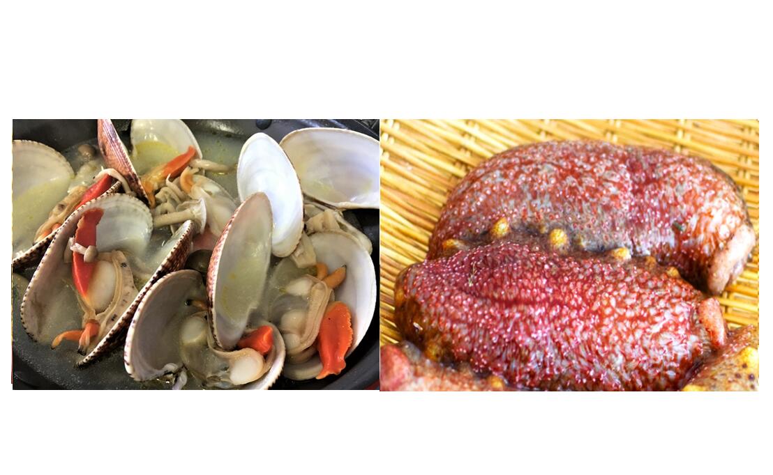 【ふるさと納税】★冬のぷち海鮮★人気の赤なまこ500g+ぶちうまヒメ貝1kg★お得な2点セット【先行受付開始！2026年2月7日以降のお届け】