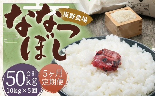 【2026年10月上旬発送開始予定】【5ヶ月定期便】らんこし米 ななつぼし約10kg（約5kg×2袋）