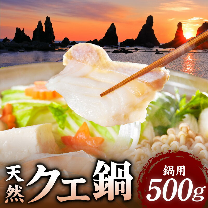 【ふるさと納税】【年内発送】 クエ鍋セット 500g 2 ～ 3人前 鍋用 真空包装 天然 海鮮鍋 高級魚 まぼろしの魚 クエ 上品 コク 旨味 白身 急速冷凍 海鮮 海産物 食品 食べ物 福井鮮魚 冷凍 和歌山県 湯浅町 お取り寄せ お取り寄せグルメ 送料無料