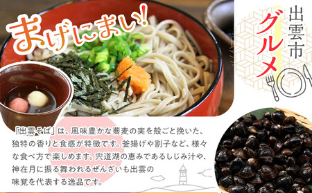 【2026年8月中旬以降発送】いずもぶどう シャインマスカット(800ｇ見当) 美味しい フルーツ 甘い 果物 出雲市産 