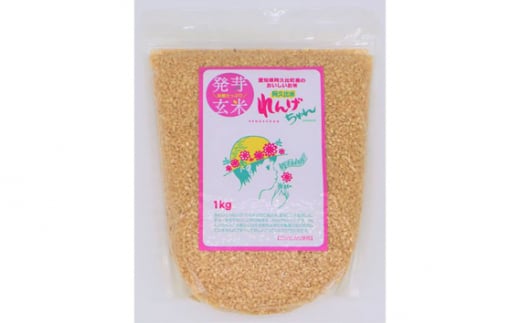 発芽玄米 れんげちゃん コシヒカリ 5kg ／ 発芽玄米 コシヒカリ 玄米 れんげちゃん 3kg もちもち 甘み 栄養 ごはん 炊き方 白米ミックス 食べやすい 主食 お取り寄せ 米  送料無料 愛知県 No.145