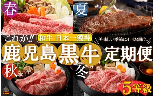 2350 《和牛日本一獲得》5等級 これが!!鹿児島黒牛定期便 （年間4回お届け）  ( 5等級 黒牛 黒毛和牛 牛肉 鹿児島 日本一 全国和牛能力共進会 徳之島 奄美 鹿児島 ステーキ すき焼き 定期便 ウデスライス サーロイン カタロース リブロース オススメ プレミアム JA食肉かごしま )