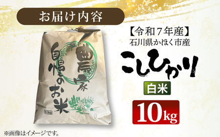 【令和7年産】こしひかり  白米 10kg | コシヒカリ 