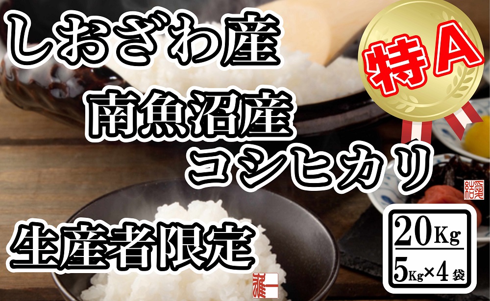 【令和8年産　新米予約】生産者限定 契約栽培 南魚沼しおざわ産コシヒカリ20Kg（５Kg ×4袋）【銘柄米 ブランド米 精米 こしひかり コシヒカリ 魚沼産 新潟米 産地直送 お米 米 こめ コメ ご飯】【2026年10月上旬から1ヶ月以内に順次発送予定】