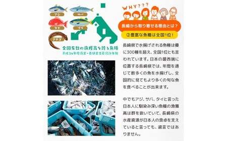 【全6回定期便】長崎産 真アジ一夜干し たっぷり21尾 ／ 海鮮 魚介 干物 ひもの あじ 鯵 アジ 長崎県 長崎市