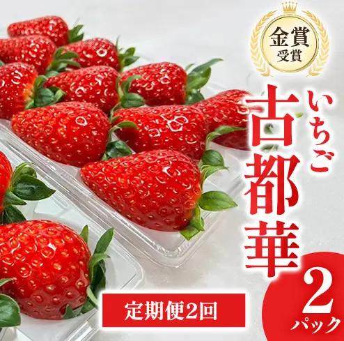 いちご 古都華 北村農園 奈良県産 いちご【2パック】【定期便2回】【先行予約】