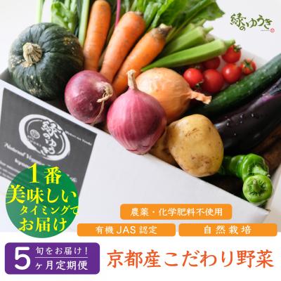 ふるさと納税 京都市 <5か月定期>【緑のゆうき】京都産こだわりの野菜セット