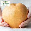 【ふるさと納税】梨 2025年 先行予約 備前横綱梨（あたご梨） 2玉 (1玉1～1.4kg）贈答箱 ナシ なし 岡山県産 国産 フルーツ 果物 ギフト 石原果樹園　梨・ナシ・果物・フルーツ・岡山県産・ギフト　お届け：2025年11月15日～2025年12月20日