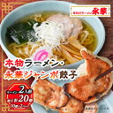 【ふるさと納税】佐野餃子(大)10個2人前×2パックと本物ラーメン2人前【配送不可地域：離島・沖縄県】【1061578】