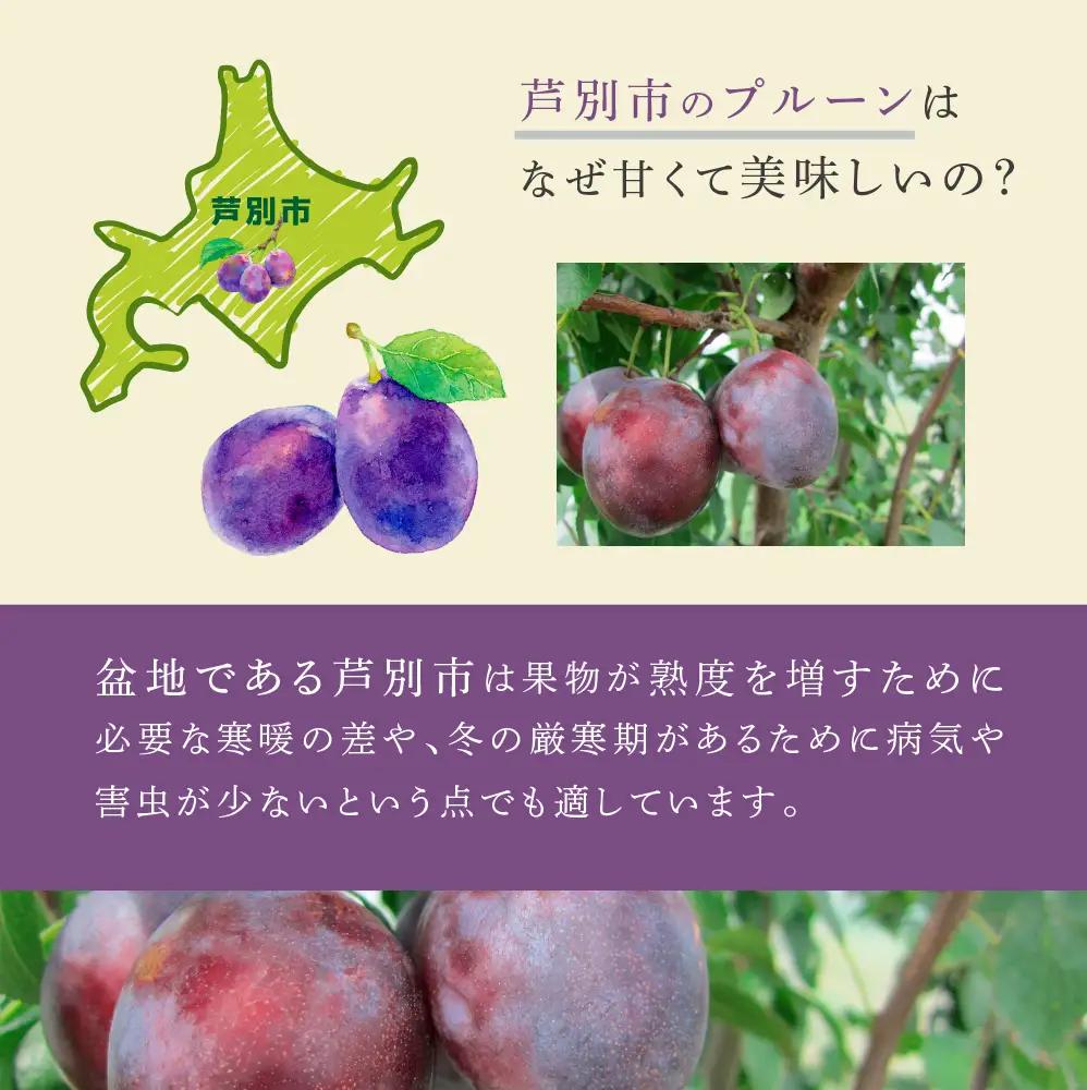 プルーン 1kg 北海道 プルーン ジョーク 生 フルーツ