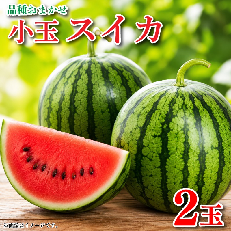 
                  すいか 小玉スイカ 2玉 果物 くだもの フルーツ 西瓜 化学肥料不使用 化学農薬不使用 産地直送 甘い 夏 甘泉 化粧箱入り 贈答 プレゼント ギフト 阿波市 徳島県 楠農園
                