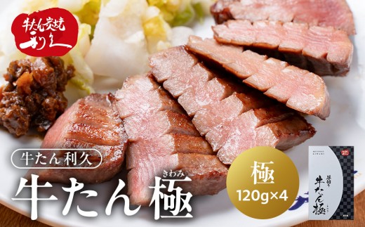 牛タン 極 480g (120g×4個) セット 詰め合わせ 宮城県共通返礼品 【 肉 にく 牛肉 牛たん タン 名物 厚切り 焼肉 プレミアム バーベキュー BBQ アウトドア キャンプ ジューシー 柔らかい 風味豊か 旨味 冷凍保存 焼き方簡単 高級 贅沢 宮城 お取り寄せ ギフト 】