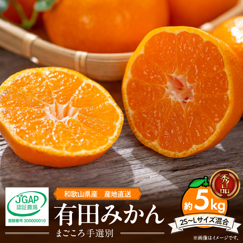 ZE6348n_【2025年先行予約】和歌山県産 有田みかん 5kg (2S～Lサイズ混合)【まごころ手選別】
