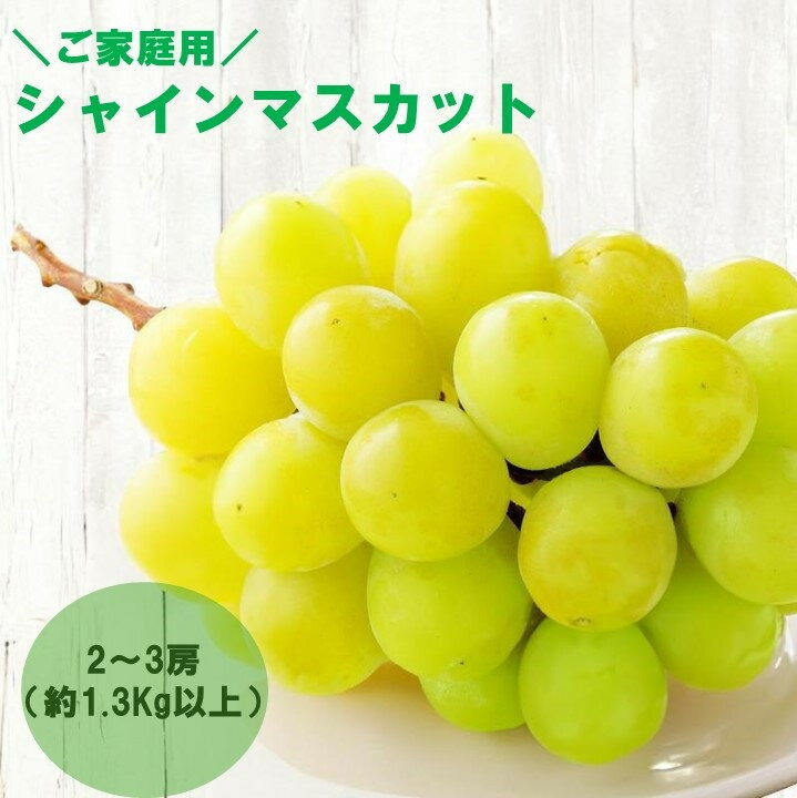 【ふるさと納税】【感謝企画】【8月下旬～10月初旬発送】ご家庭用シャインマスカット　2～3房（約1.3Kg以上）