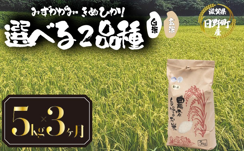 
                  【 新米 先行予約 】 令和8年産 選べる 品種 みずかがみ きぬひかり 定期便 5kg × 3ヶ月 白米 / 玄米  2026年産 キヌヒカリ 国産 滋賀県 日野町 農家直送 お米 精米 おこめ こめ 米 ご飯 おにぎり お弁当 弁当 kome R8年 R8 8年産 ハクマイ げんまい しんまい おこめ こめ 米 オコメ 産地直送 日野町産米 産地直送 ふるさと納税
                