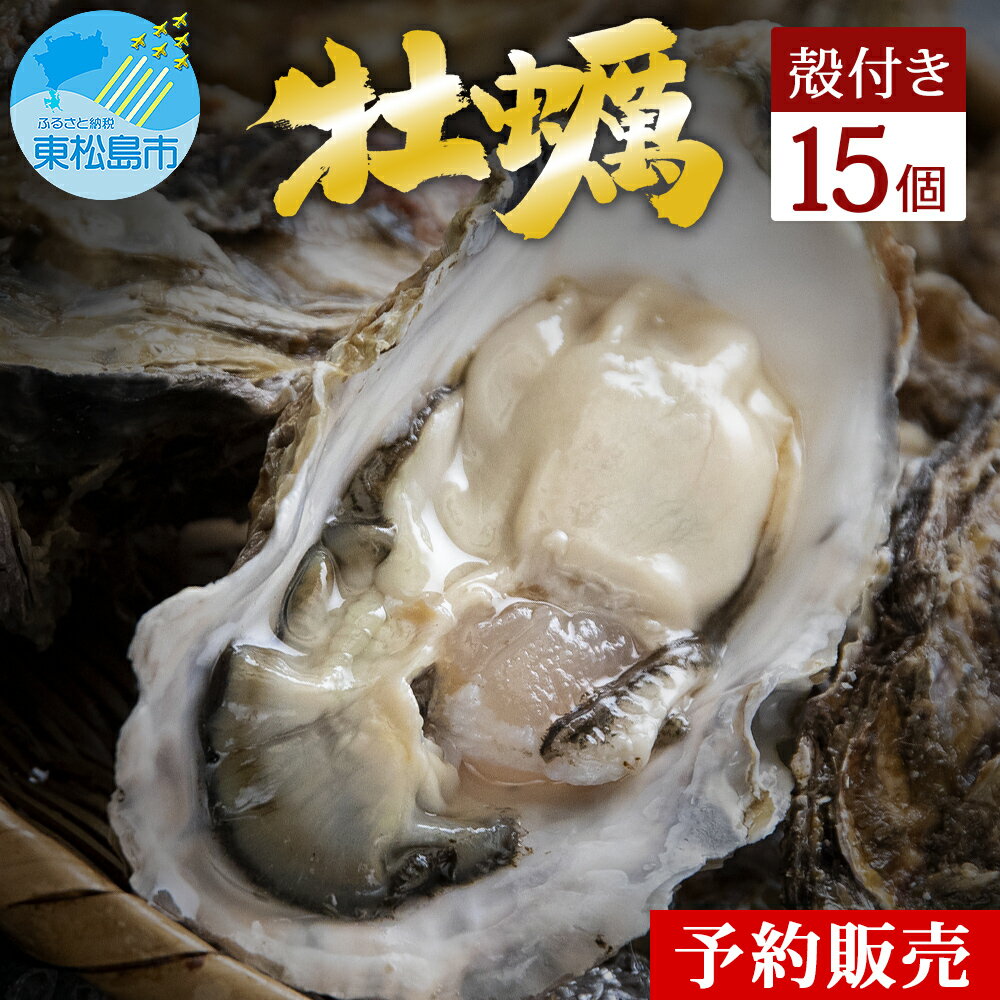 【ふるさと納税】牡蠣 宮城県 奥松島産 極上 旨 牡蠣 15個 殻付き 加熱用 《2025シーズン受付開始！11月中旬頃から順次発送予定》 殻付きかき 牡蠣 カキ 宮城県 東松島市 オンラインワンストップ 対応 自治体マイページ