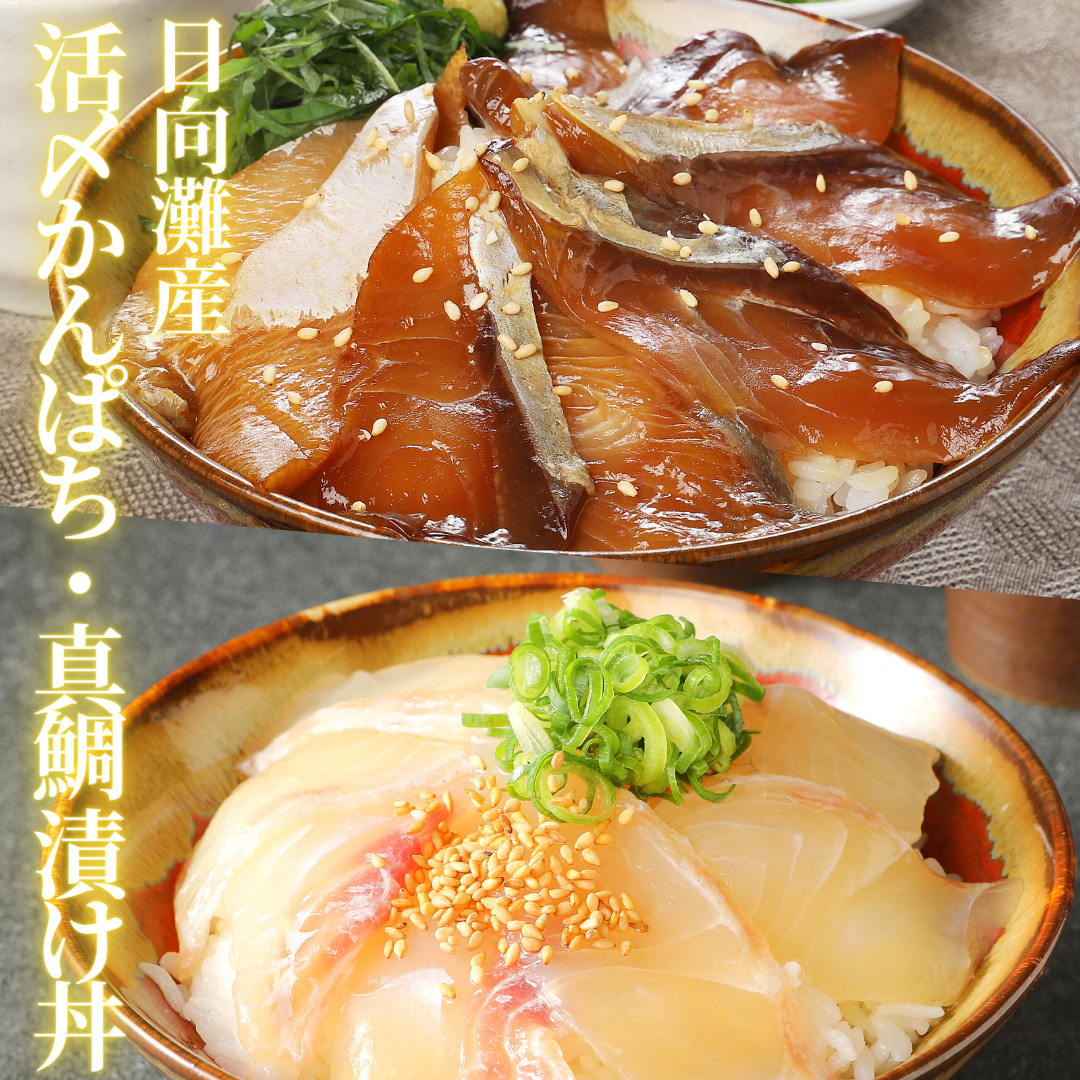 【冷凍】日向灘真鯛とかんぱちの漬け丼2種食べ比べセット　100g×8袋　N019-YZB232　請関水産