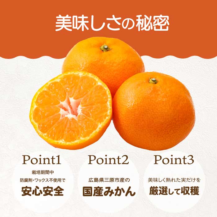 【おくはち農園】〈訳あり〉はるみ 4.5kg  《2027年2～3月発送予定》栽培期間中 防腐剤 ワックス 不使用 旬 柑橘 かんきつ フルーツ 果物 瀬戸内 166008 