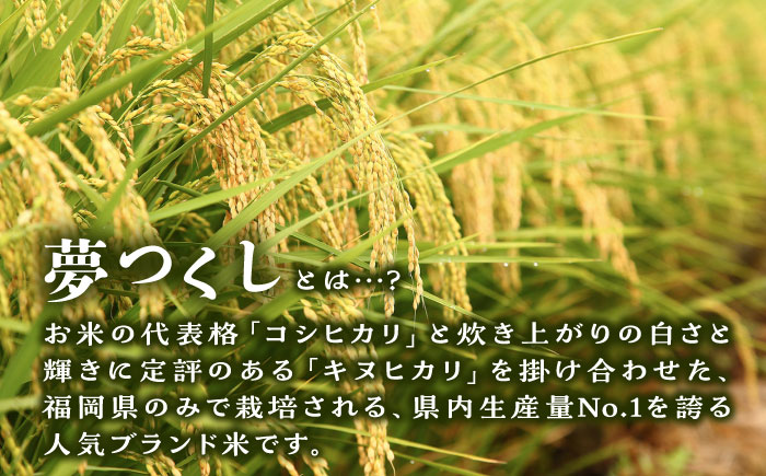 【令和7年産新米】 糸島産 夢つくし 10kg 糸島市 / 三島商店 [AIM002] 米 白米
