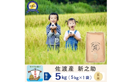 【令和8年産新米 9ヶ月】佐渡島産 新之助 玄米 5kg