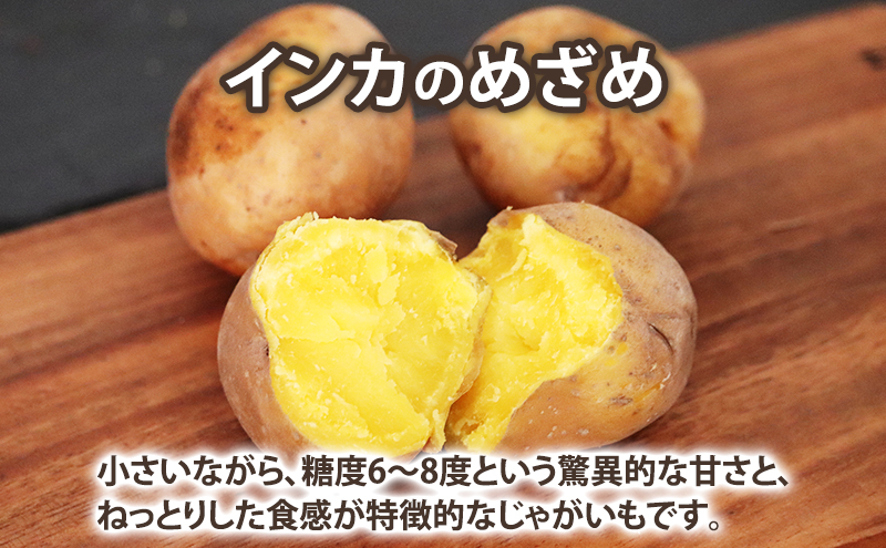 【2025年10月～発送】濃厚な甘さ！黄金のジャガイモ　インカの目覚め 【約10kg】 (スイートベジタブルファクトリー) 野菜 新鮮 直送 朝採り じゃがいも 芋 インカのめざめ いんか 道産 北海