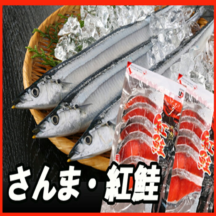 【ふるさと納税】 甘塩紅鮭 5 切 × 4P、冷凍生さんま 5 尾 × 4P セット サケ さけ しゃけ シャケ 秋刀魚 サンマ 鮭 紅ざけ 紅ザケ べにざけ ベニザケ お取り寄せ グルメ 海鮮 北海道 根室市 ふるさと納税 C-30015