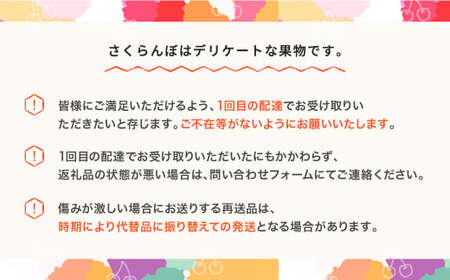 先行予約 さくらんぼ やまがた紅王 3L以上 秀品以上 300g 100g×3パック 2026年産 令和8年産 山形県産 mm-yb3ld300