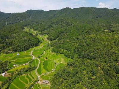 米粒が光る近江棚田米 特別栽培米 滋賀県大津産 コシヒカリ 玄米10kg