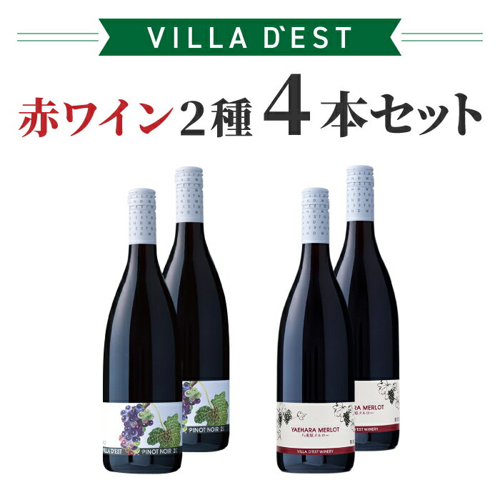 【ふるさと納税】赤ワイン 2種 4本セット（ピノ・ノワール / メルロー）|【ヴィラデストワイナリー】長野 東御 ヴィラデスト 東御ワイン NAGANOワイン 長野ワイン 日本ワイン ワイン ピノ 玉村豊男 ギフト プレゼント 贈答 飲み比べ 熟成 ミディアムボディ フルボディ