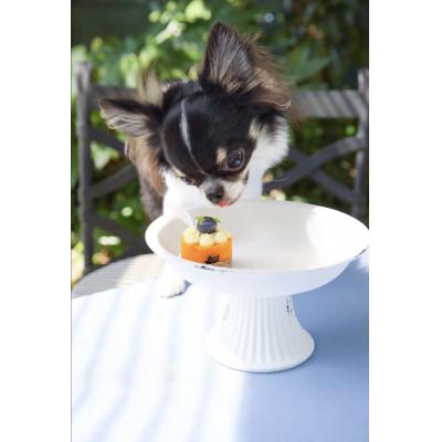 ふるさと納税 筑前町 ペットフード(犬のおやつ)　小型犬用鹿肉のタルトケーキ風セット |  | 03