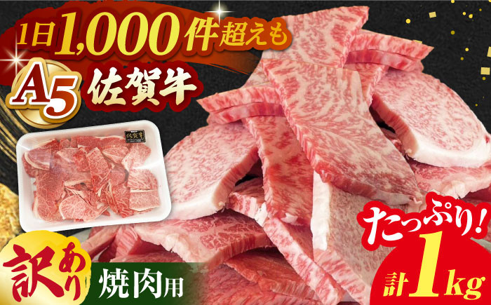 【訳あり】佐賀牛 焼肉セット 1kg 佐賀牛 赤身 バラ ロース 焼肉 焼き肉 ロース 切り落とし 不揃い