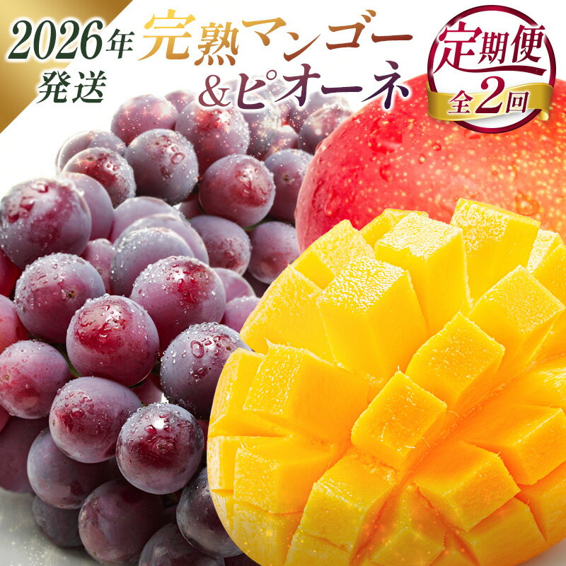 【ふるさと納税】＜2026年発送＞ フルーツ 定期便 完熟マンゴー ピオーネ ぶどう 先行予約 初夏 秋 旬 果物 全2回
